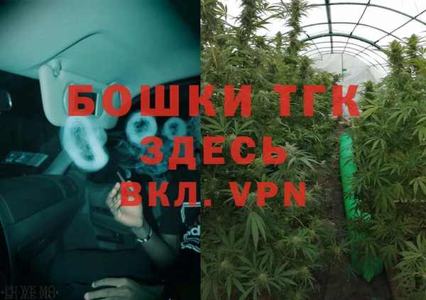 дмт Барнаул