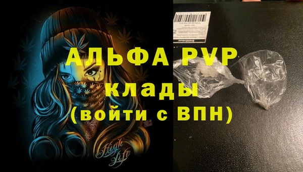 спиды Ессентукская
