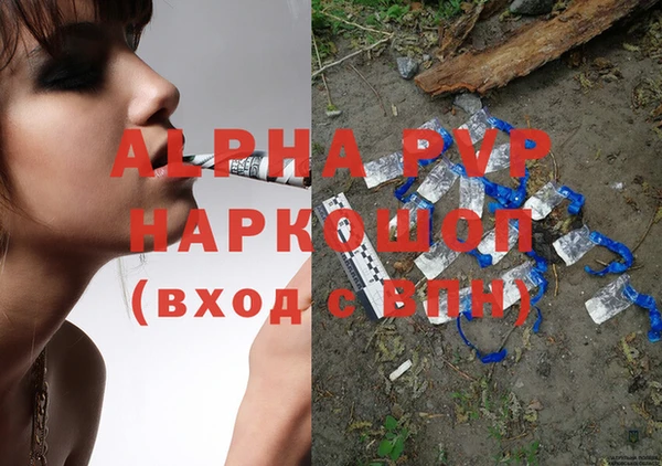 Альфа ПВП Санкт-Петербург